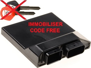 Yamaha ECU ECM brain immobiliser reset / code free Yamaha ECU ECM brain immobiliser reset / code free